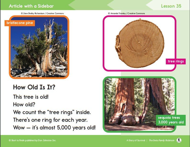 science - Building Wings Page from Readtopia The Swiss Family Robinson Thematic Unit science lesson.