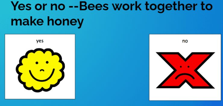 Non-verbal communication board with a yellow "yes" smiley face and a red "no" X over an aqua blue background with text overlay that reads, "Yes or no - Bees work together to make honey"