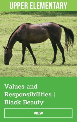 Cover of Readtopia "Upper Elementary Values and Responsibilities Black Beauty" with image of a black horse grazing on grass.