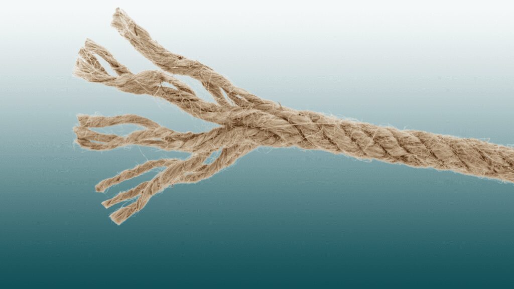 rope of reading - Building Wings An aqua background with a frayed rope used to depict the instructional elements of reading instruction.