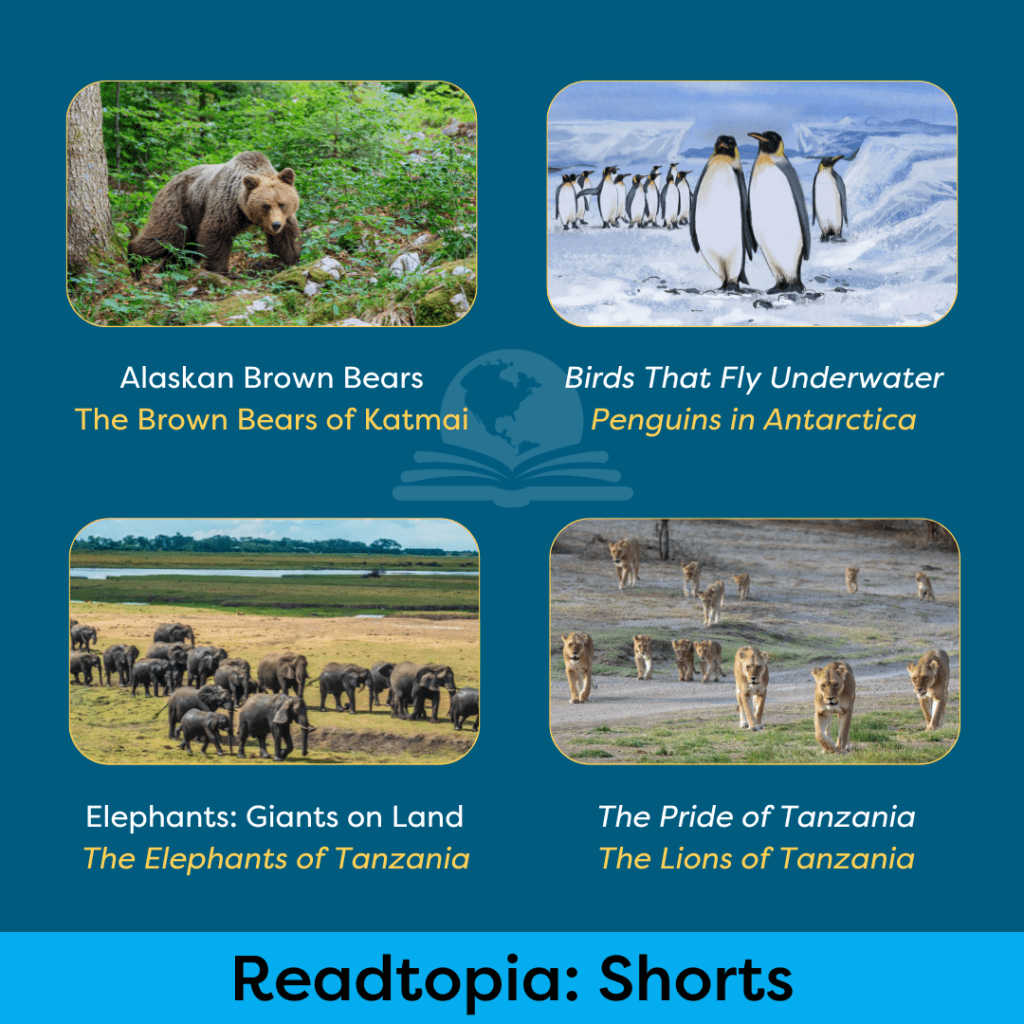 Readtopia Shorts - 4 Shorts - Building Wings The Readtopia: Shorts collection including four animal-theed mini-units with photos from units on Alaskan Brown Bears, Penguins, Elephants and Lions.