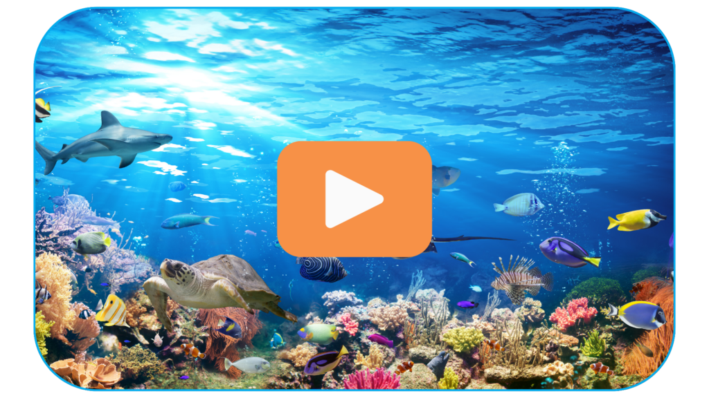 Screenshot of one of the many current events videos for students that are part of the rich media offered in News Currents.