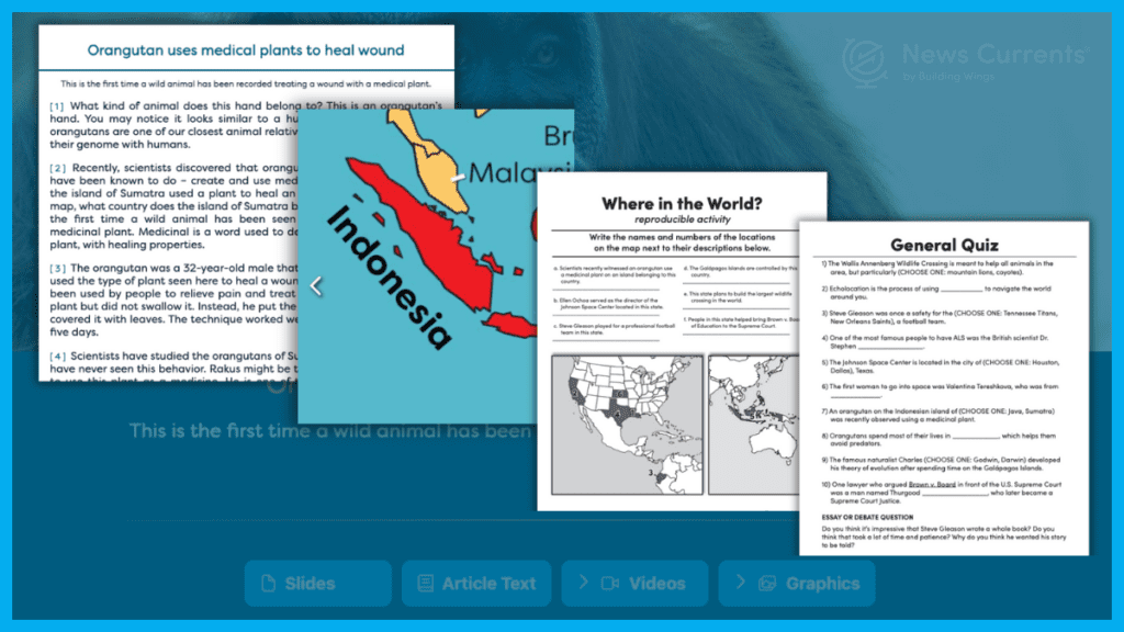 Sample News Article from News Currents with Vocabulary-Building Lessons 2 - Building Wings Blue background with screenshots of instructional materials to build vocabulary using News Currents including an animal story for students, a map, and several lessons for students to demonstrate knowledge.